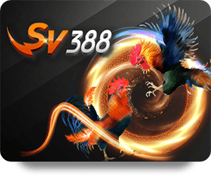 Xu Hướng Phát Triển Của KUWIN Review Chuyên Môn 2024